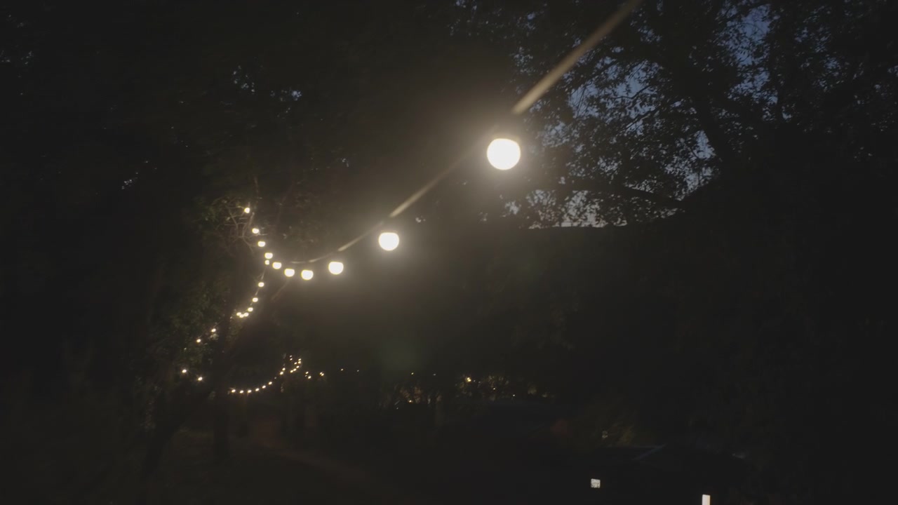 Luzes de corda quentes em formato de globo penduradas em galhos em uma floresta escura à noite, enquanto a câmera se move lentamente, criando uma atmosfera aconchegante.
