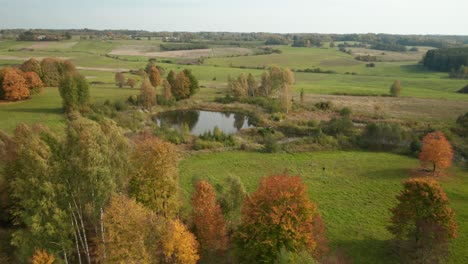 aerial: isolated small pond in countryside during autumn season