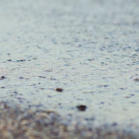 flowing sea water on the pebble beach in the evening. the edge of the ocean with calm waves on the pebble background. close-up.
