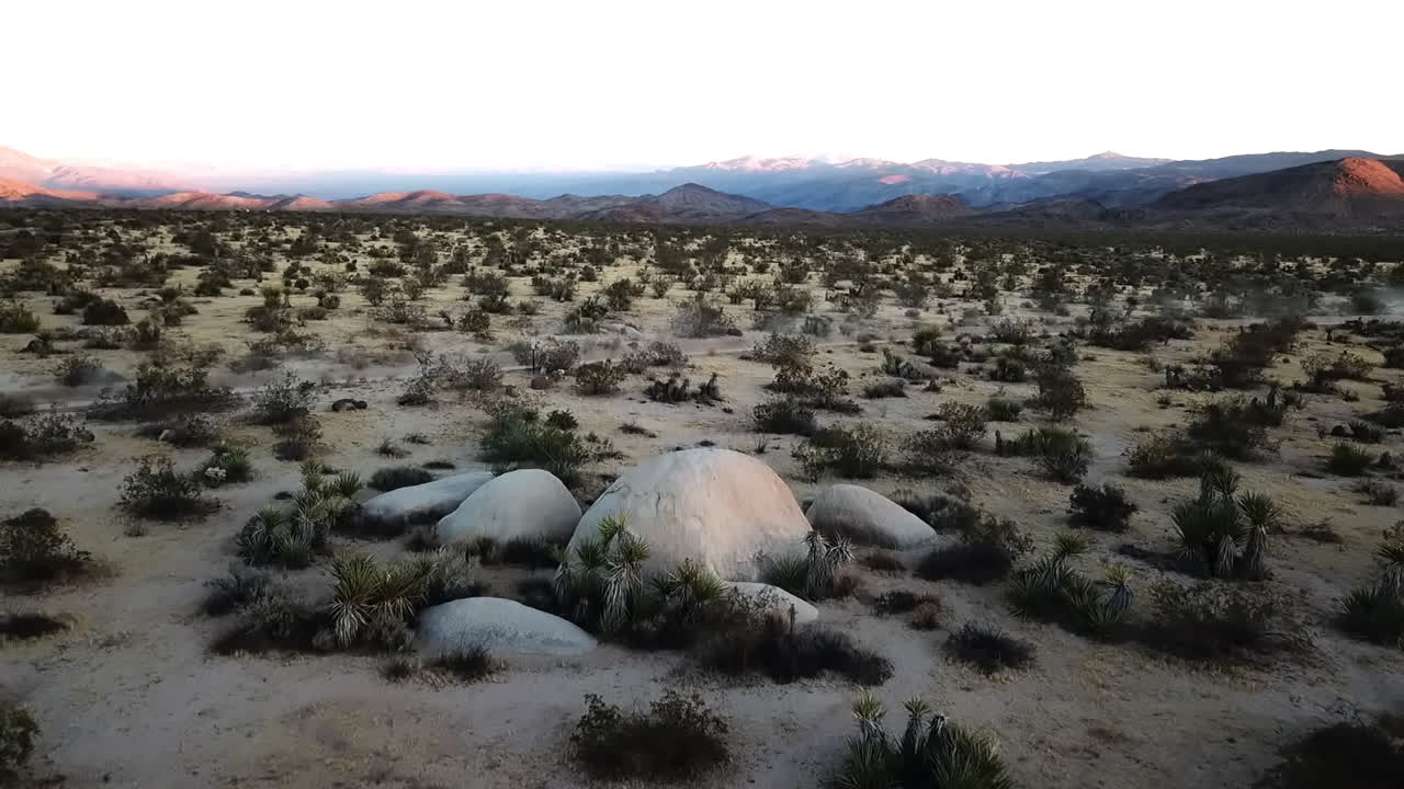 conducción de automóviles a través del paisaje desértico al atardecer en el parque nacional joshua tree