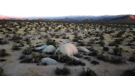 car driving through desert landscape at sunset in joshua tree national park