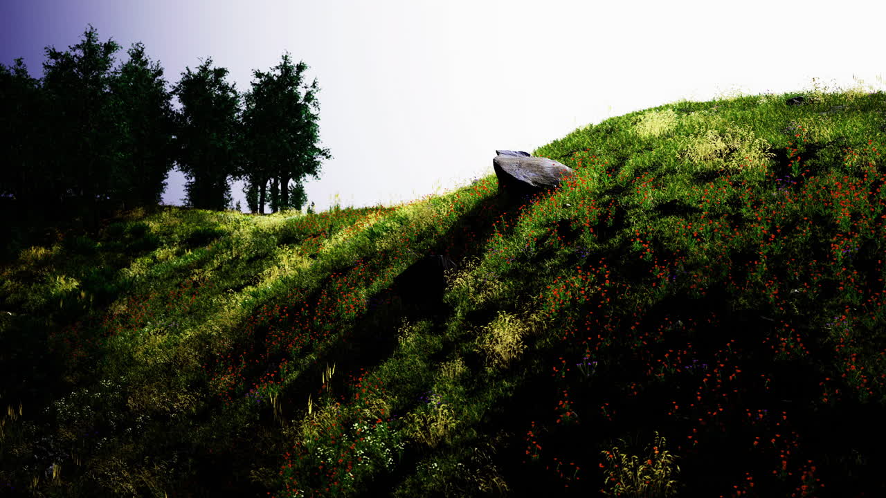 Sunlit hills with wildflowers and shadows creating a serene landscape
