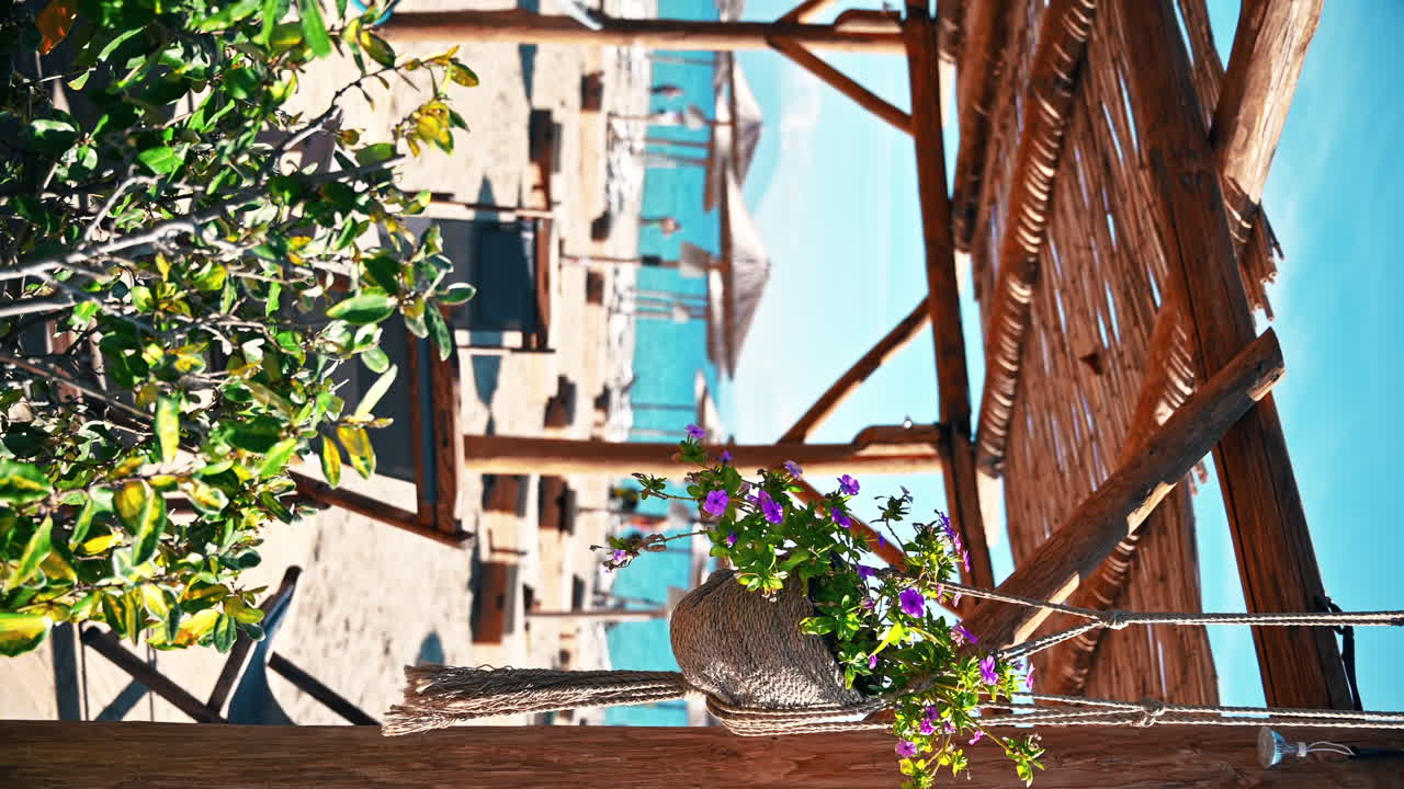Flowers in a hanged pot in a gazebo on aegean coast. Beach in Greece