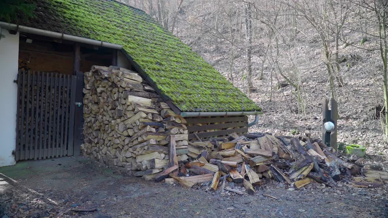 Pile of chopped wood under a moss-covered roof