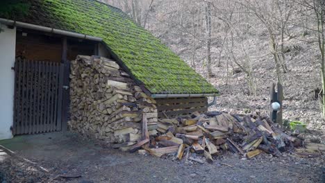 pile of chopped wood under a moss-covered roof