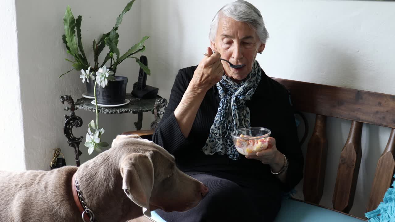 귀여운 반려동물이 주인이 먹는 과일을 구걸하고 있습니다.