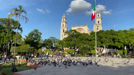 afternoon view at plaza mayor de mérida with flying pigeons