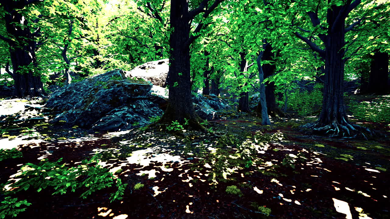 la luz del sol filtrándose a través del denso bosque