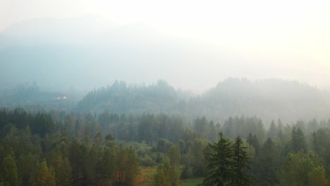 Neblige-Berggipfel-Im-Kanadischen-Regenwald