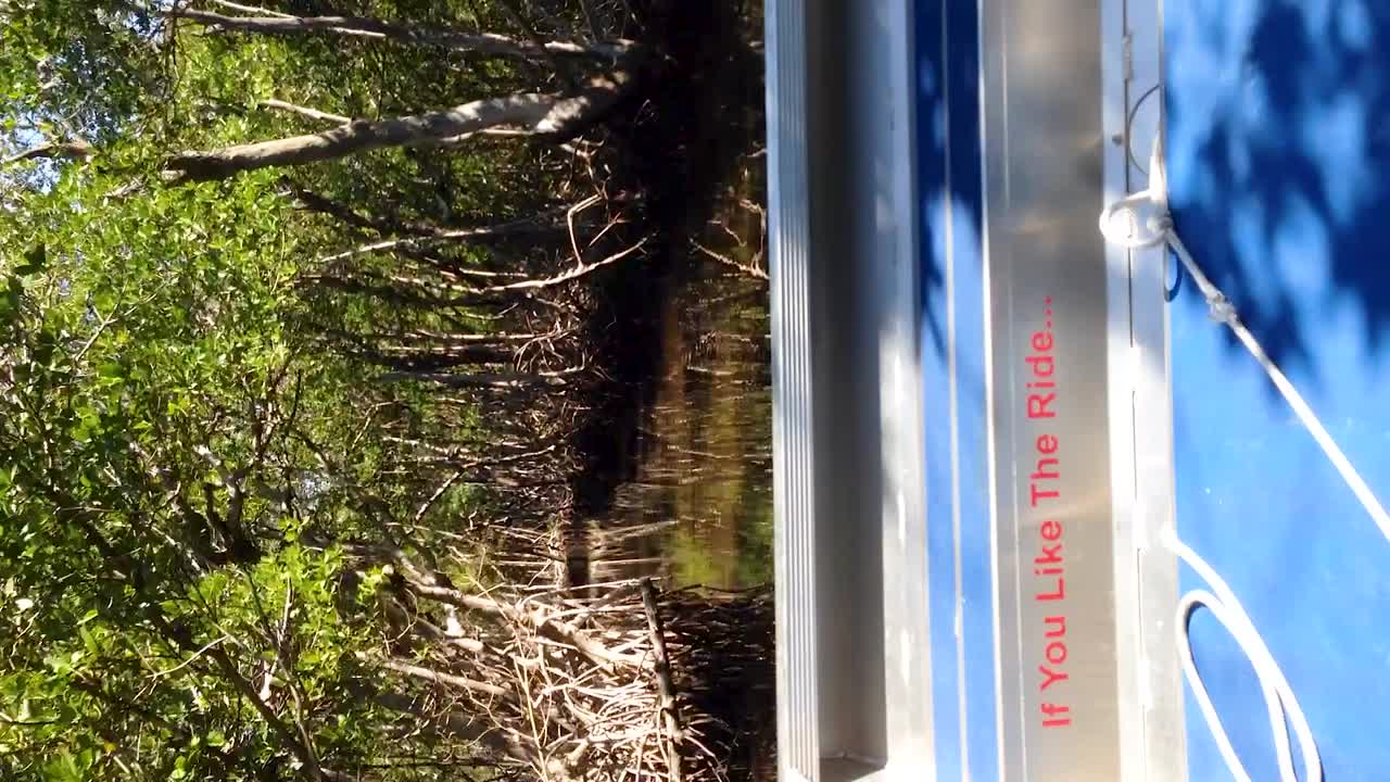 플로리다 에버글레이즈 맹그로브를 통해 에어보트 세로 세로 pov 미국을 타고