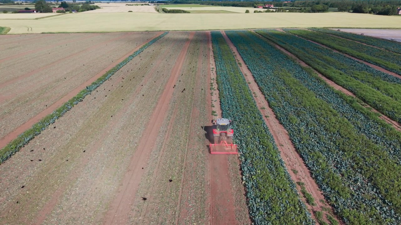 Luftfoto af en traktor, der pløjer en mark ved solnedgang. Arbejde på landbrugsjord med støvspor og pløjede jordmønstre, jordforberedelse og afgrødedyrkning, pløjning af landbrugsjord i Storbritannien