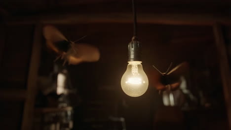 moths circling an illuminated light bulb in a dark, atmospheric room