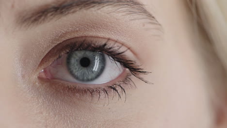 cerca hermosa apertura del ojo azul mirando a la cámara el reflejo del iris belleza humana natural