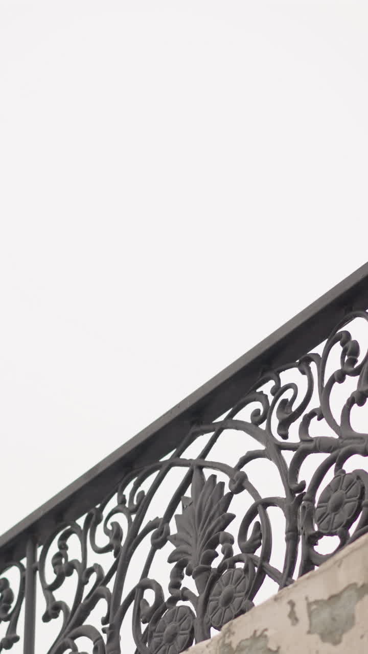 mujer con capucha roja y gorra descansa en una barandilla de hierro decorativa bajo un cielo brillante, mostrando un intrincado diseño de valla y un ambiente invernal urbano sereno