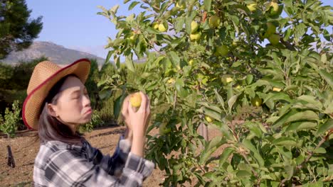 upset asian farmer with apple bitten by worms in countryside