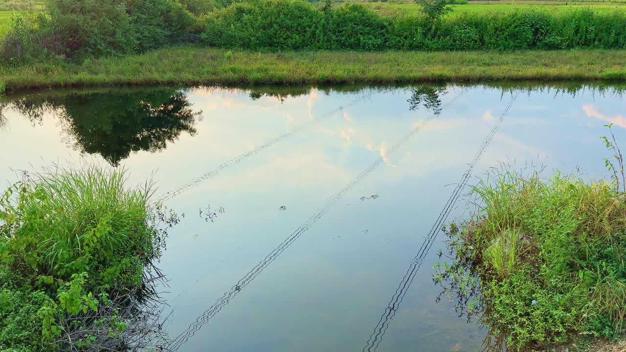 Reflection of high-voltage power lines on a calm pond surrounded by green vegetation — a perfect visual for documentaries and educational videos on electricity, energy, and environmental harmony
