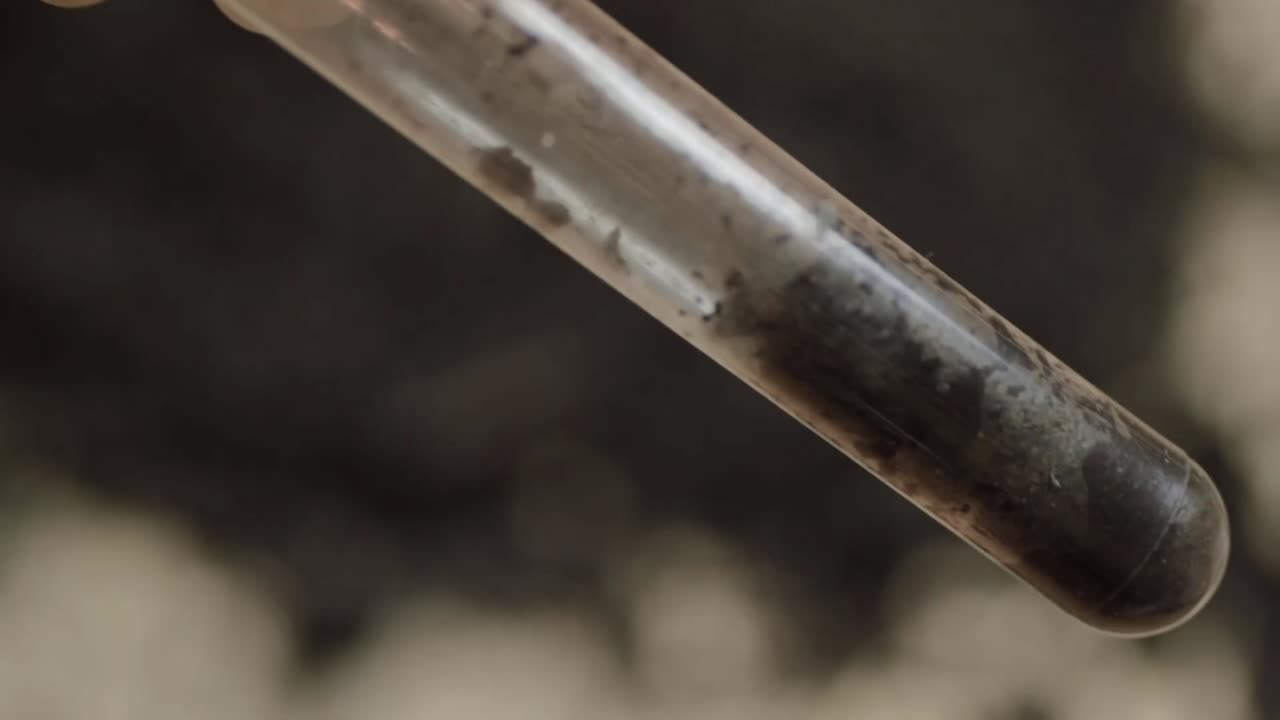 Soil sample in a test tube macro