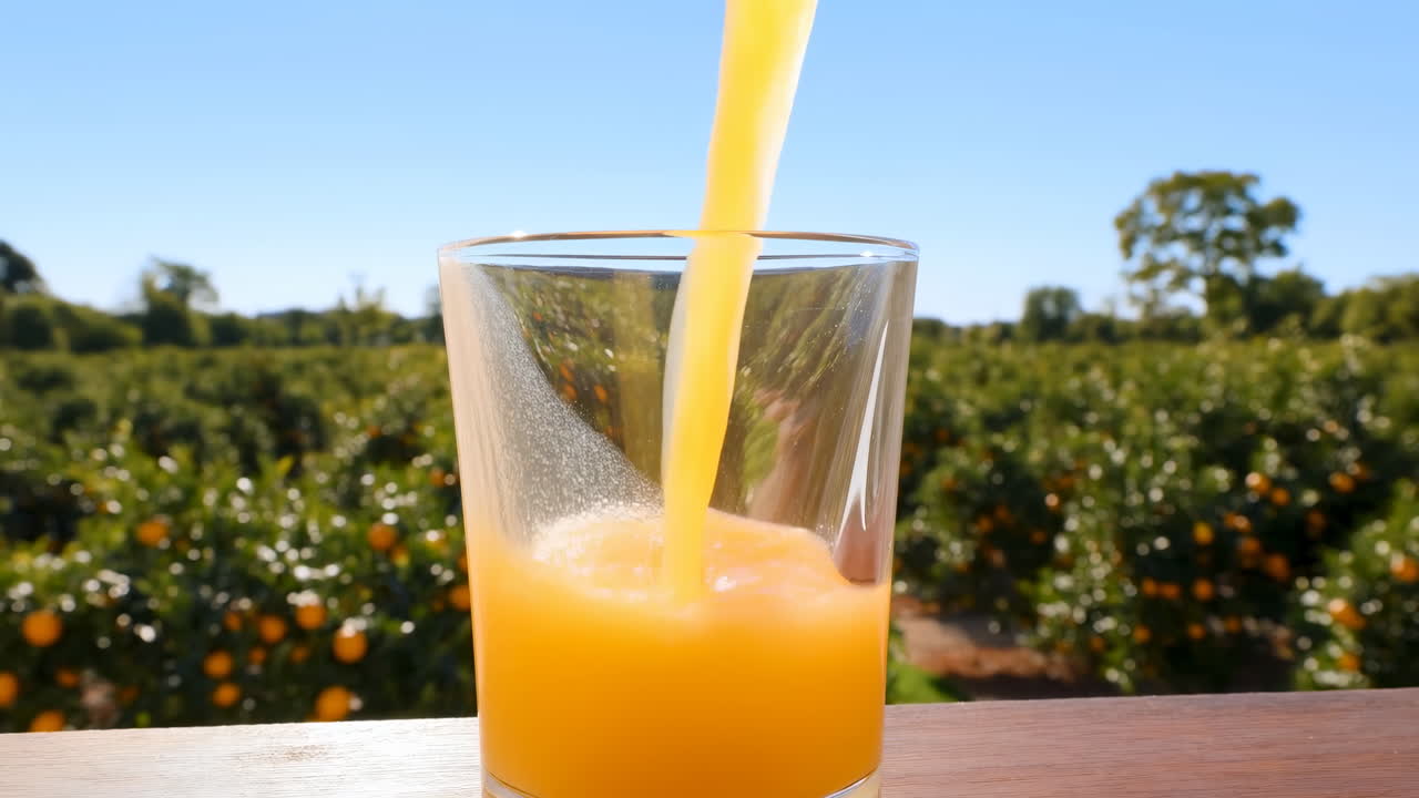 Succo d'arancia illuminato dal sole versato in un bicchiere, con tavolo di legno in primo piano e sfondo di frutteto, sotto un cielo azzurro brillante.