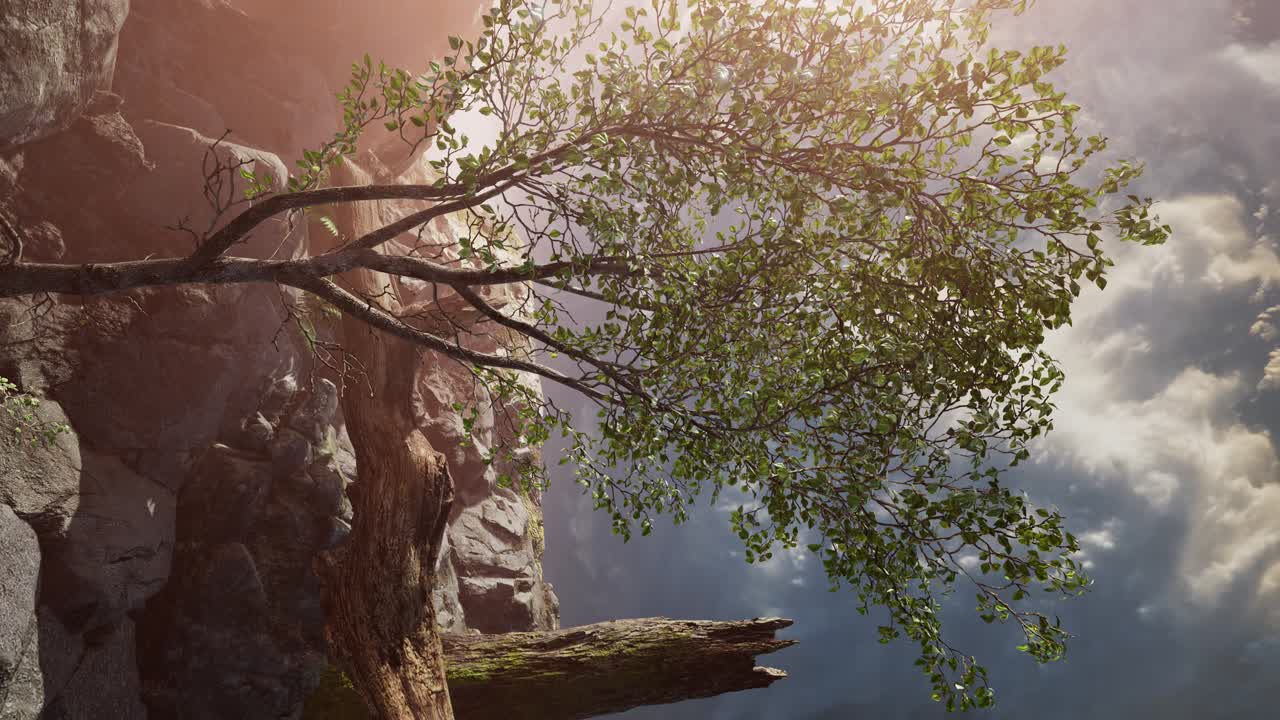 해가 지는 산의 풍경. 산 꼭대기에서 놀라운 전망