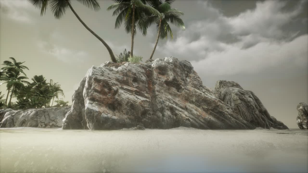 놀라운 열대 해양 해변의 부드러운 황혼