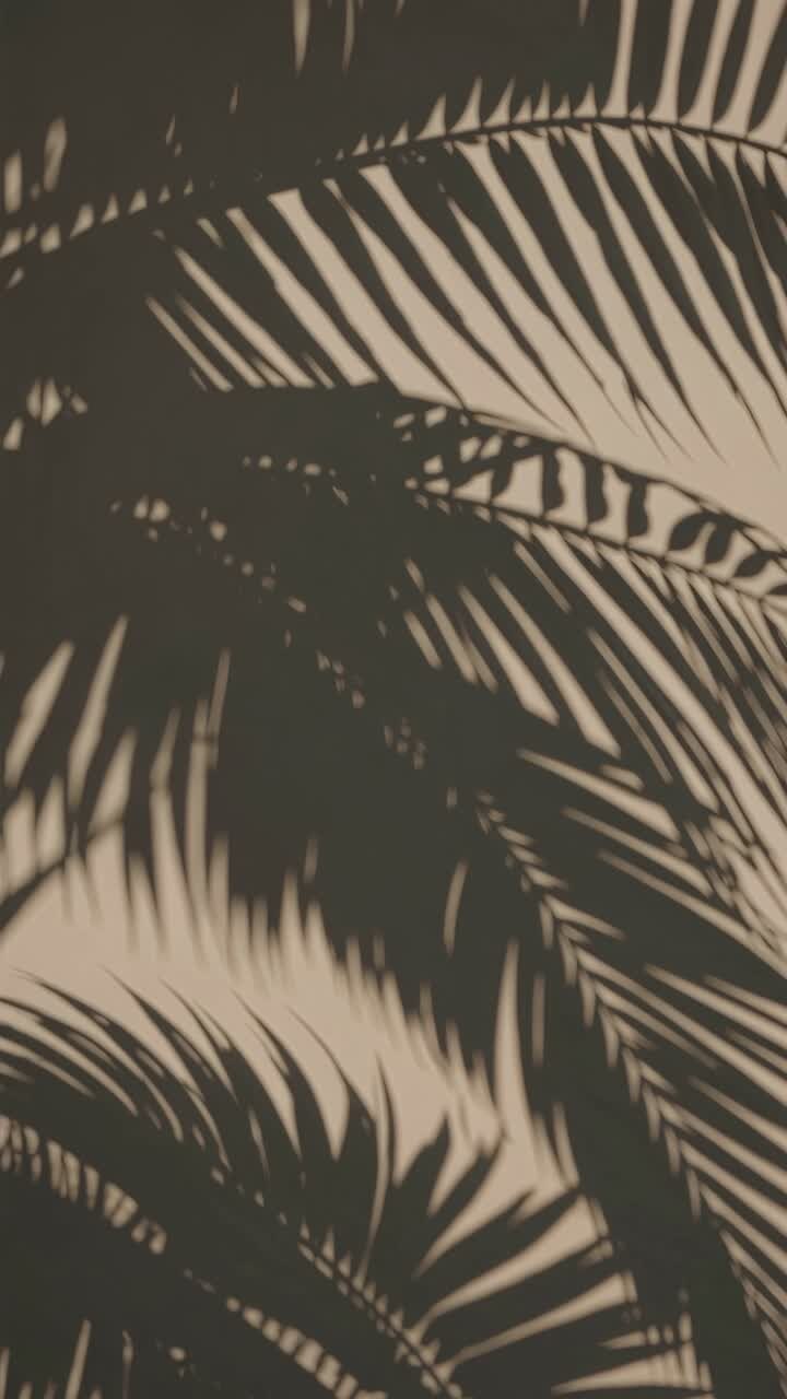 Artistic video concept with palm leaf shadows on a beige wall