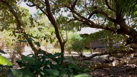 un bungalow en medio de árboles tropicales