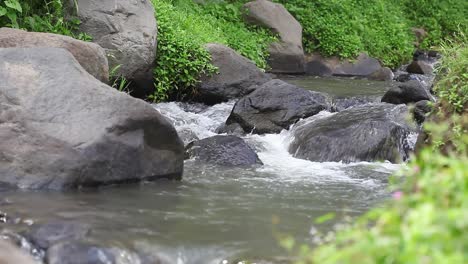 Close-up-view-mountain-stream-with-black-stones