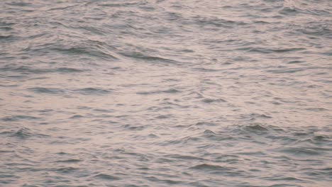 View-of-water-waves-creating-a-ripple-effect,-light-reflection-on-the-water-surface