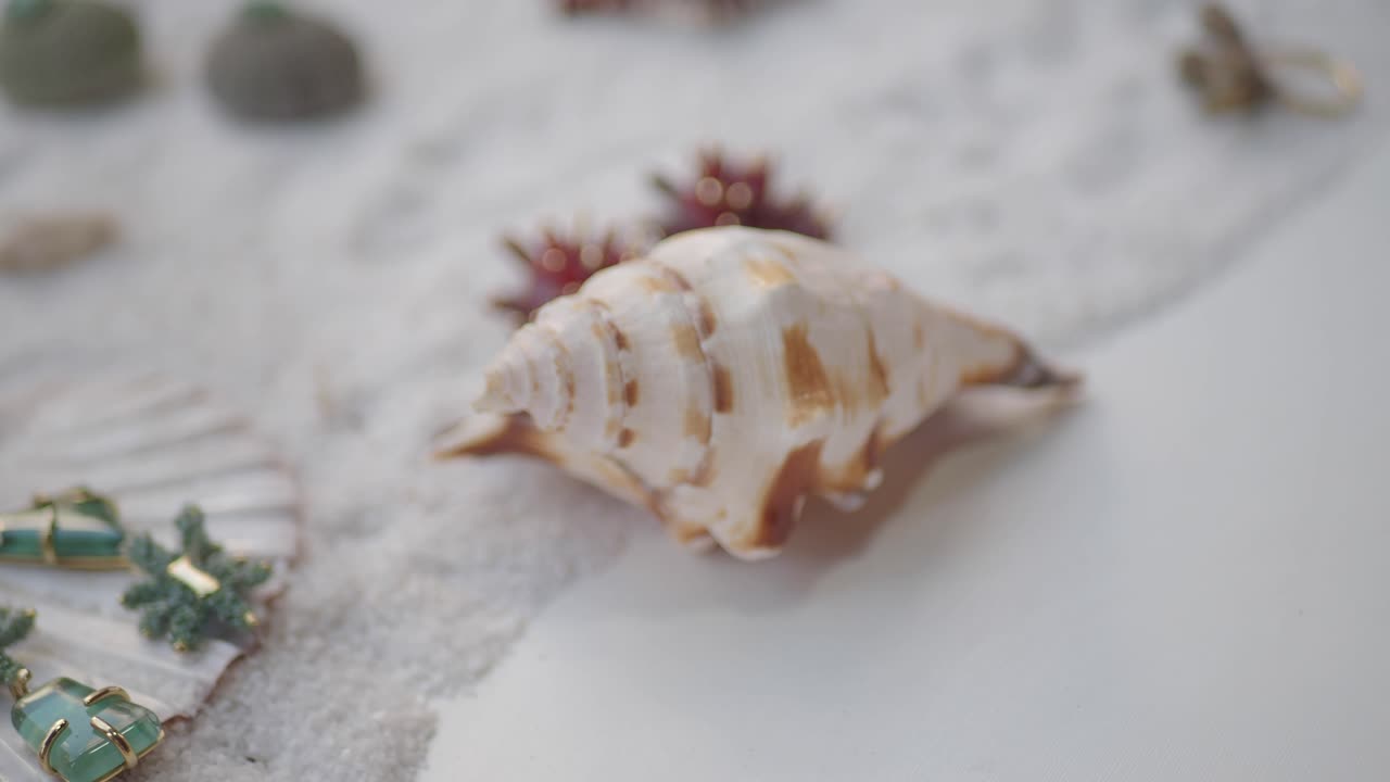Seashells and beach-themed decorations
