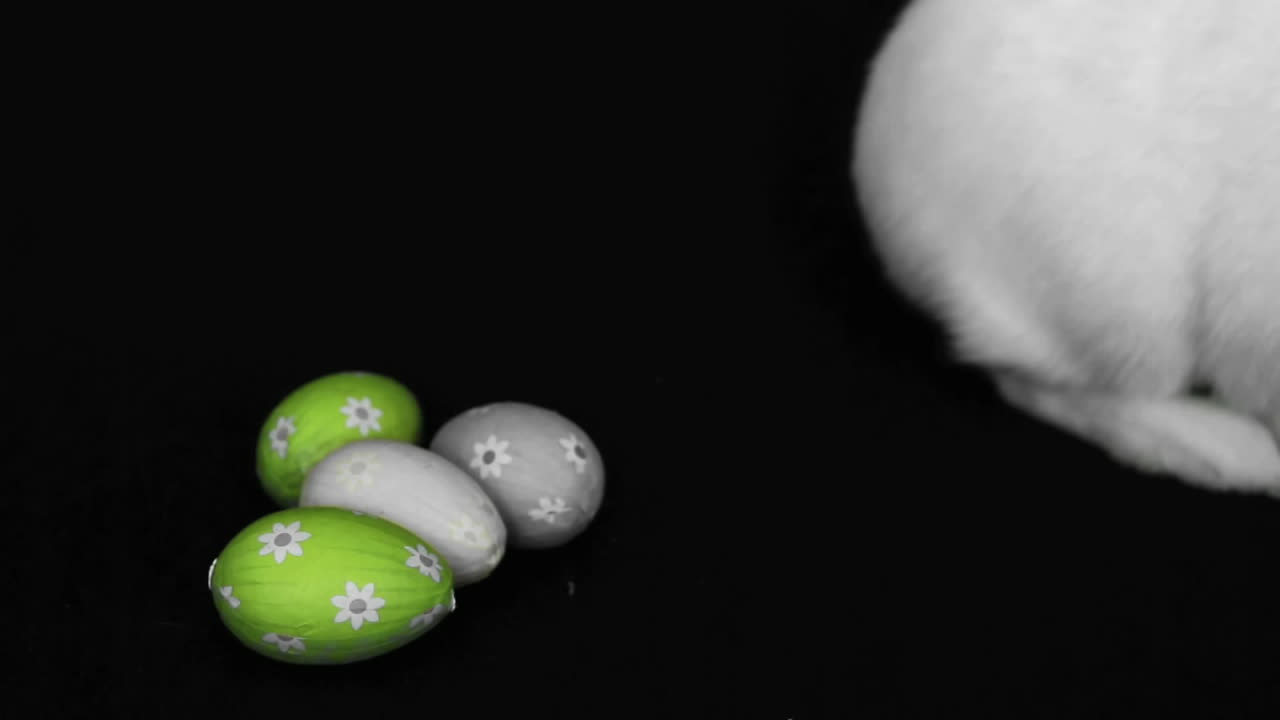 부활절 달 에 은  토끼