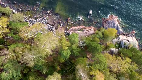 An-Aerial-View-Of-A-Forest-And-Shrubs-Near-A-Lake-With-Waves-Flowing-On-Rocky-Bank