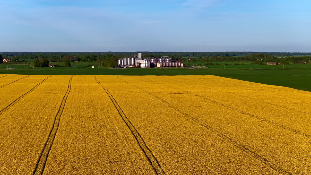 Aerial view of a yellow field of blooming rapeseed, with a storage facility and silos in the background.
