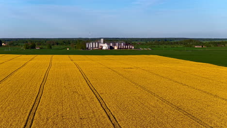 aerial view of a yellow field of blooming rapeseed, with a storage facility and silos in the background.