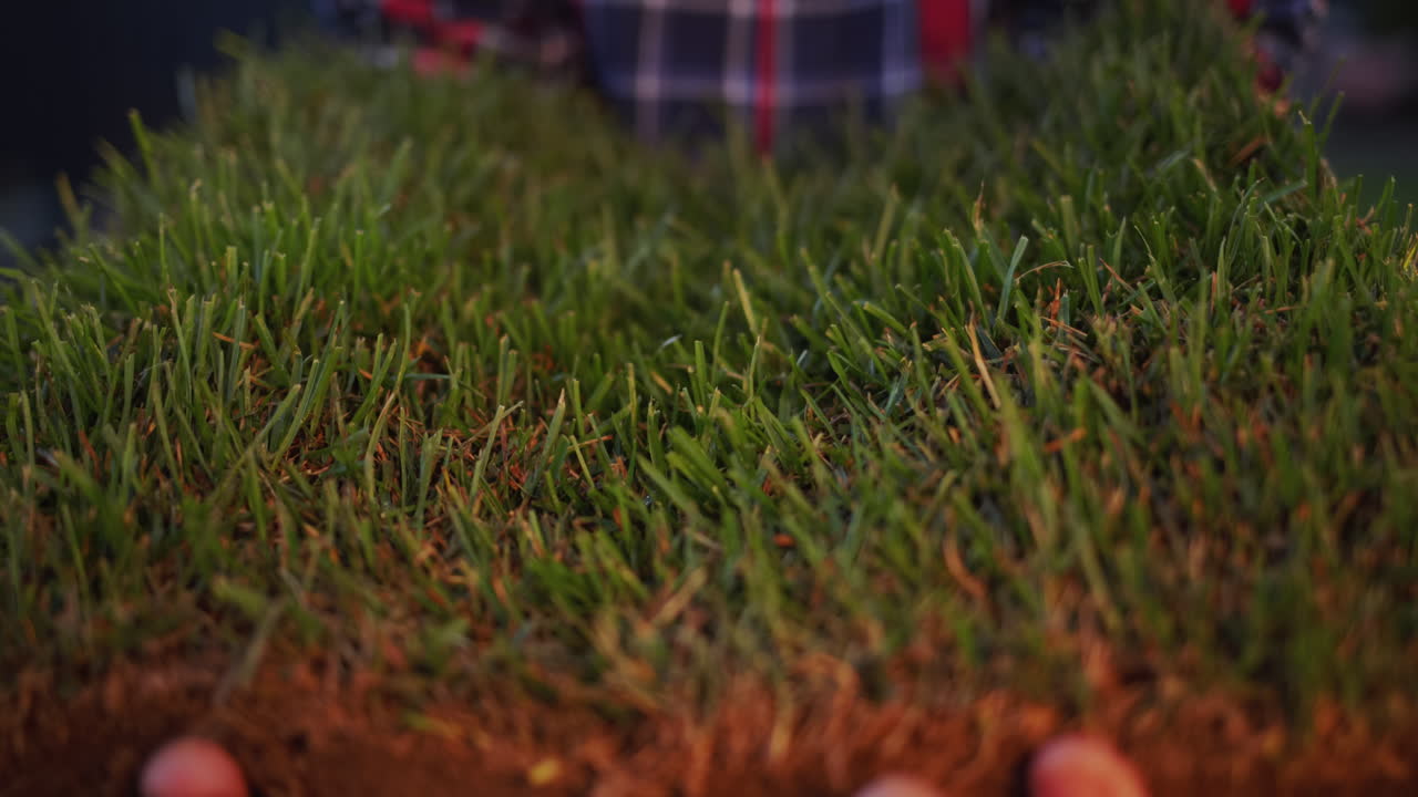 녹색 잔디가 있는 땅을 소유하는 사람. 토지 무역과 생태학 개념