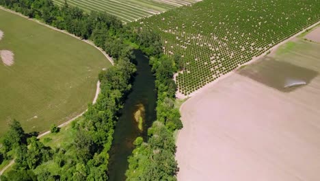 Panorama-Of-An-Agricultural-Land-With-Plantation-Crops-Between-A-River