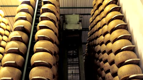 machine cleaning, brushing the producer's ripened parmesan cheese