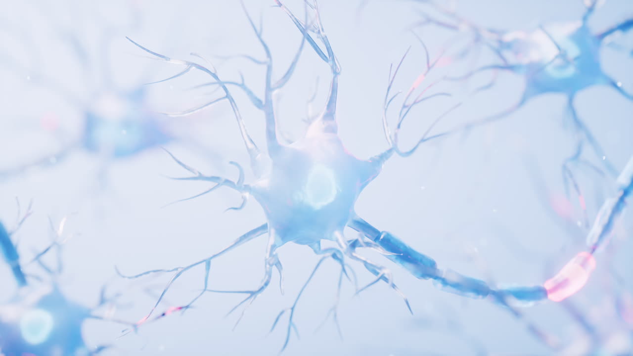 생물학적 신경세포와 생의학적 개념, 3d 렌더링