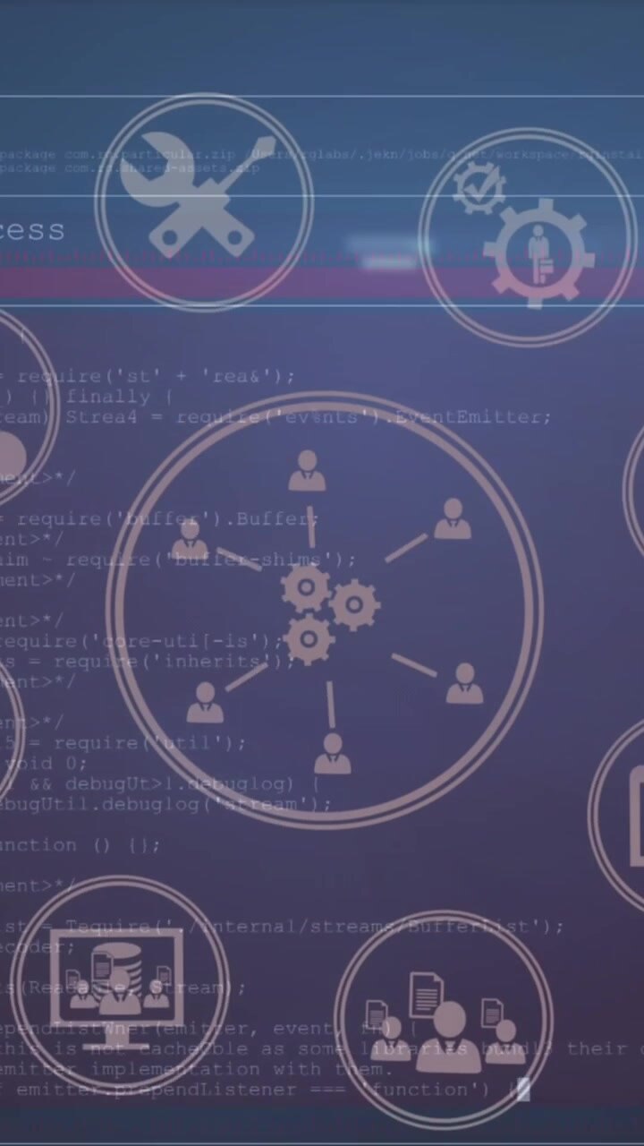 Animation of network of connections with data processing