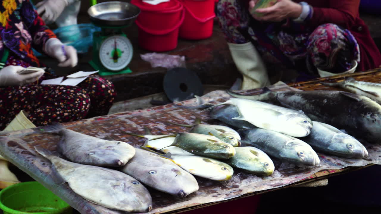 mujer vietnamita contando dinero y vendiendo pescado fresco en el mercado callejero