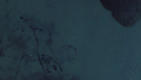 tinta azul oscuro que cae en agua azul oscuro y se disuelve