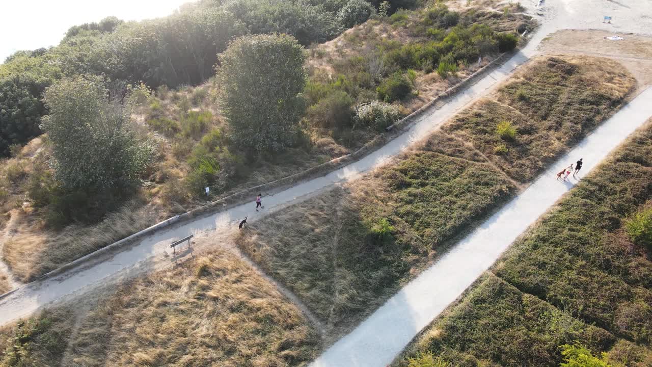 personas hacen ejercicio mientras pasean a sus mascotas en el área costera de bellevue, seattle, washington