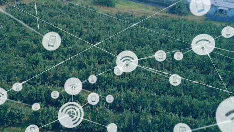 network of connected devices and data processing animation over agricultural field