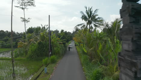 Automóviles-Y-Motocicletas-Conduciendo-Por-Calles-Asfaltadas-Rurales-A-Lo-Largo-De-Campos-De-Arroz-En-Bali,-Indonesia.-Vista-Aérea-Del-Tráfico-En-Caminos-Rurales-A-Través-De-Tierras-De-Cultivo-Y-Plantaciones-De-Arroz-En-Asia