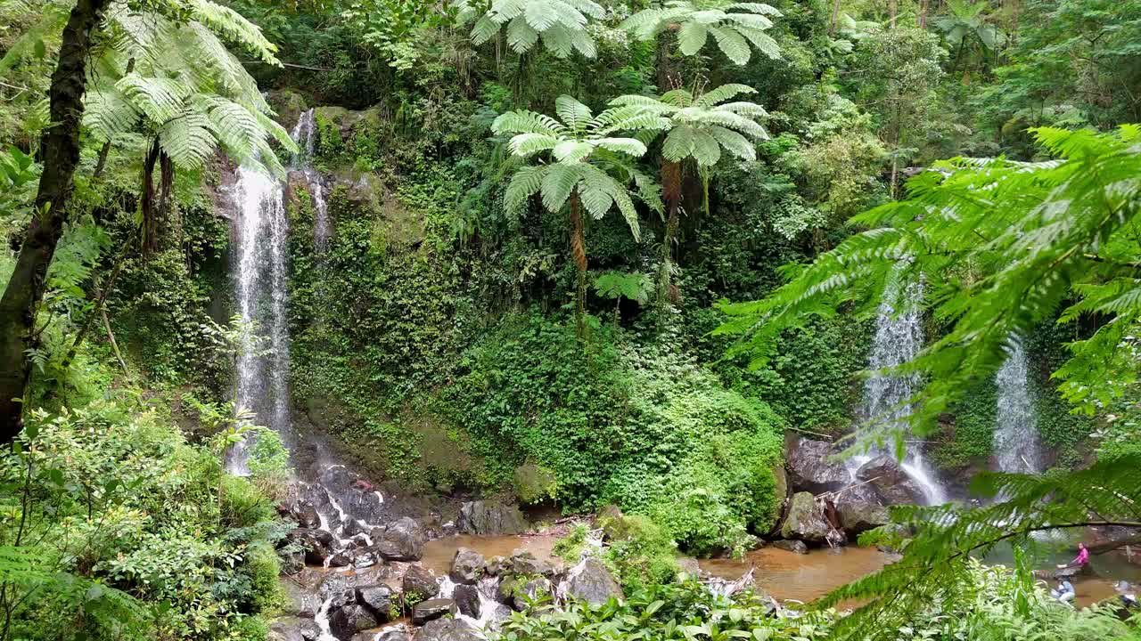 Stunning double waterfall hidden in dense tropical jungle, featuring rich greenery and pristine rainforest beauty ideal for travel footage