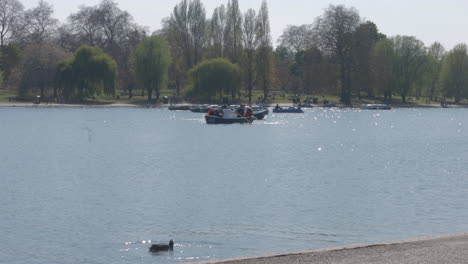 gente remando en el lago en hyde park en londres, reino unido