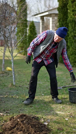 tall old caucasian man pours water from a bucket. farmer starts to plant a new tree in his garden. vertical video.