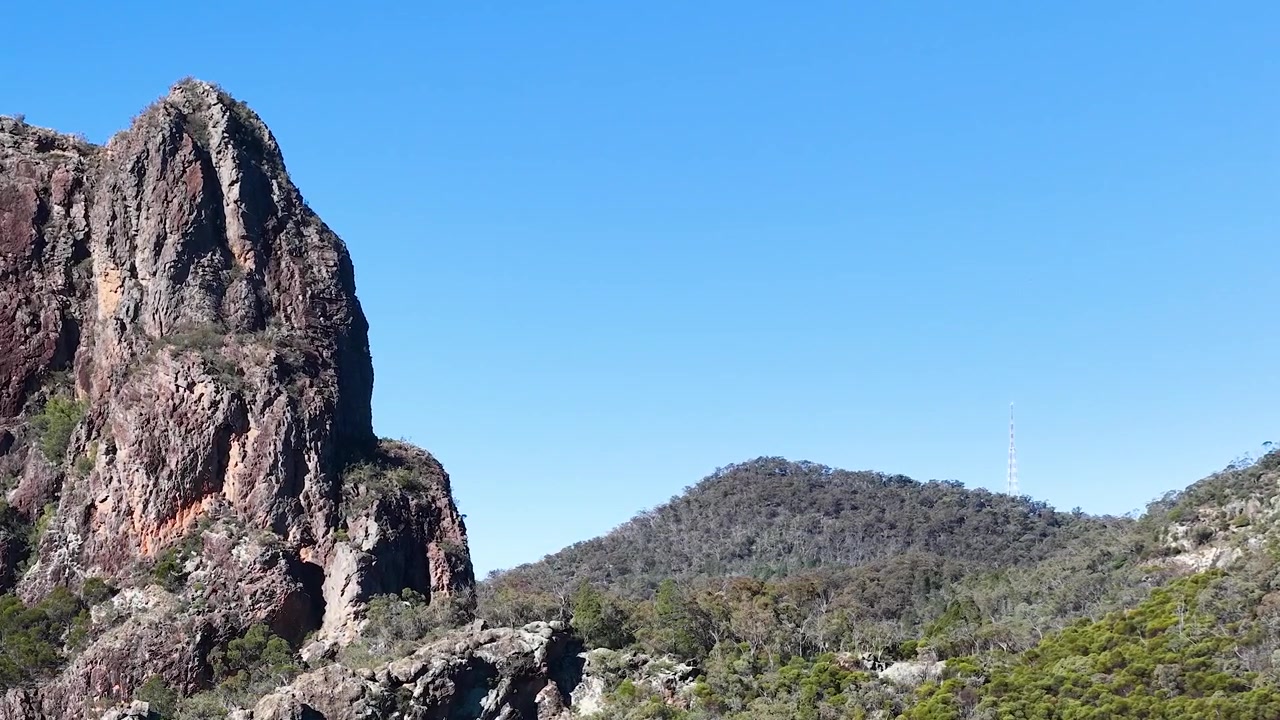Un'aquila cuneata plana attraverso un cielo azzurro limpido vicino alla formazione rocciosa The Breadknife