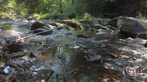 Beautiful-Rur-river-with-flowing-water-and-rocks-in-a-forrest-of-the-german-Eifel-Mountains,-very-close-to-Monschau