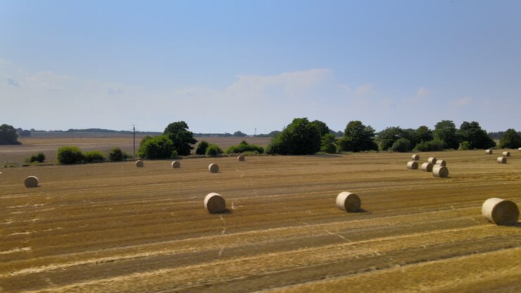 Golden hay field with round hay bales aerial truck shot of flat rural farmland