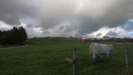 driving in a  stormy afternoon in the countryside